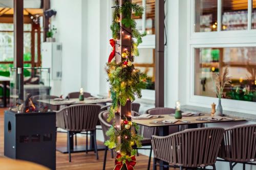 Hafenhotel Viktoria - image 14