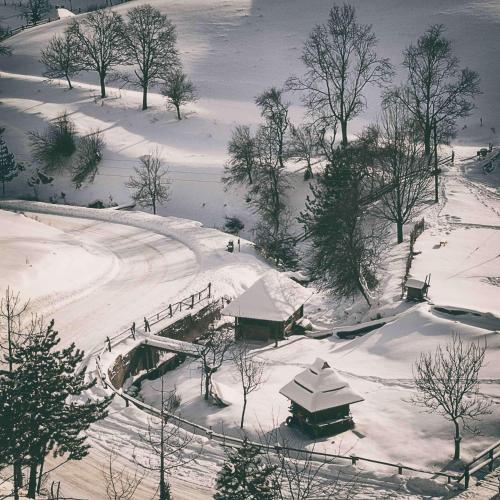 Ethno Bungallows Boškova Voda - main image