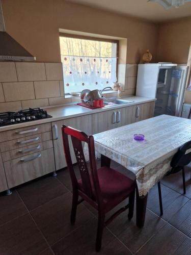 virtuve, Casa Jan Bonca in Bălnaca
