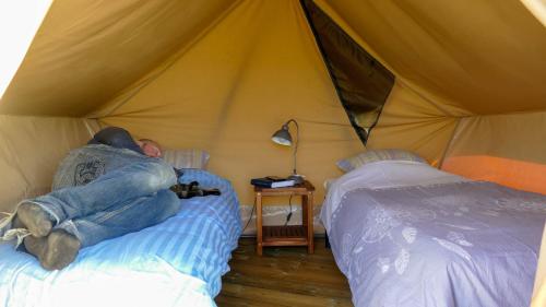 Camping à la ferme - Hébergements insolites