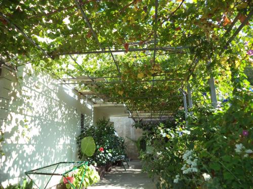 Apartments Mićić - image 10