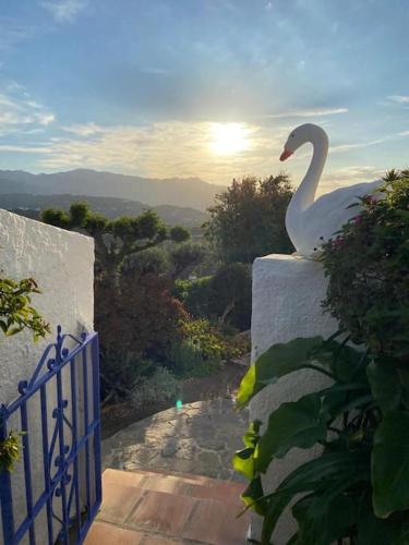 Finca el Cisne, Torrox (50 km van Malaga)