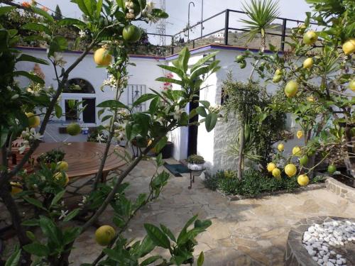 Finca el Cisne, Torrox (50 km van Malaga)