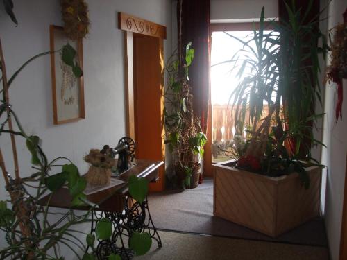 Oprema, Gasthof Solln in Engelshutt