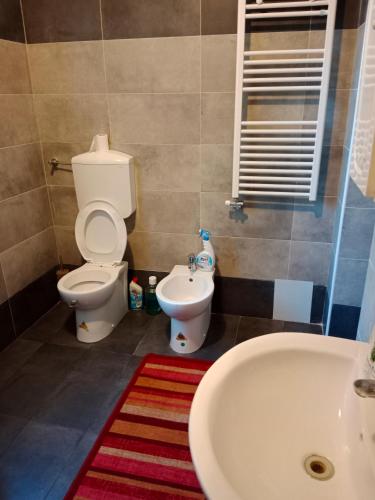 Venice City Guesthouse 5