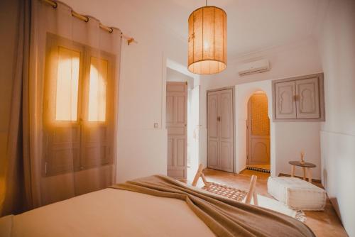 Riad Tizou - image 12