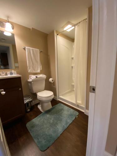 Private basement bedroom with private bathroom, kitchen, and living room with large screen televisio in Fishers