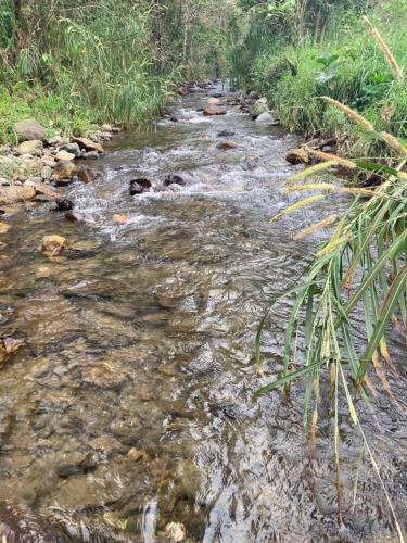 A környék, Loft del Centro in Centro