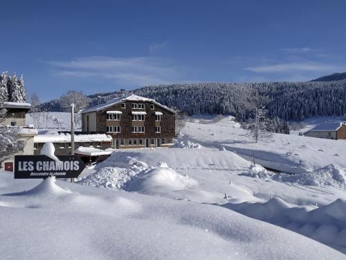 Les Chamois - Apartment - Lajoux