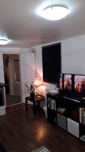 Cosy London holiday Home (Near O2 arena), Londýn (fotografie 9)