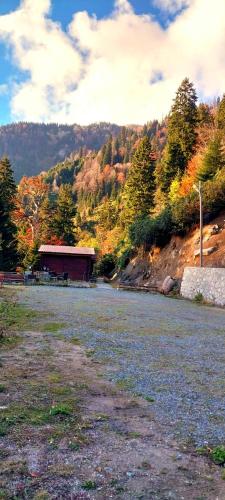 Ayder Cise Dag Evleri Rize Turkey
