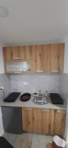 Tid Apartman in Arandjelovac