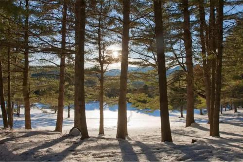 Adirondack Mountain View Retreat