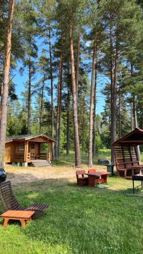 A house with a sauna at Arturs in Viitna