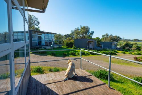 Harmony at Tower Hill Apartment in Port Fairy