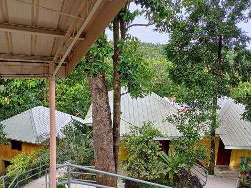 Woodland Inn, El Nido