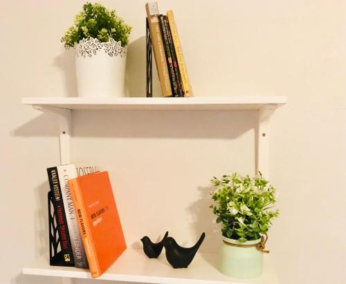 Modern European 1BR near DT-Historic St