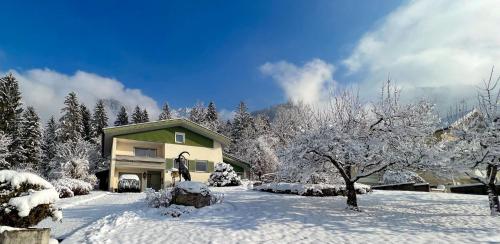 Waldchalet Steinbock in Sankt Anton im Montafon