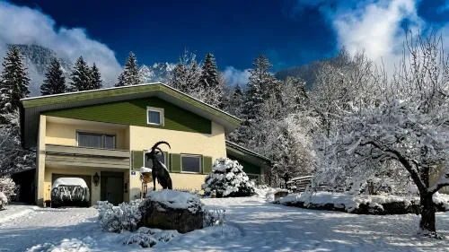 Waldchalet Steinbock in Sankt Anton im Montafon, Österreich