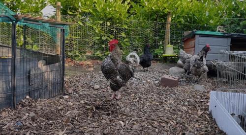 Picture of Beautiful Country Retreat For 6, With Free Parking