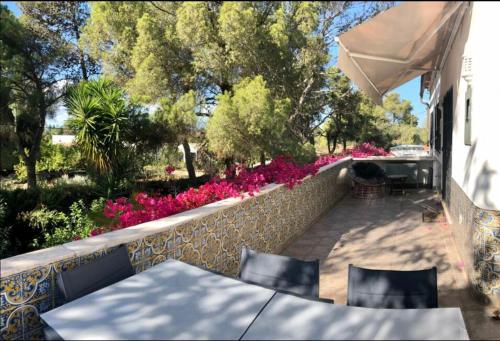 Superbe villa avec piscine en algarve in Tunes
