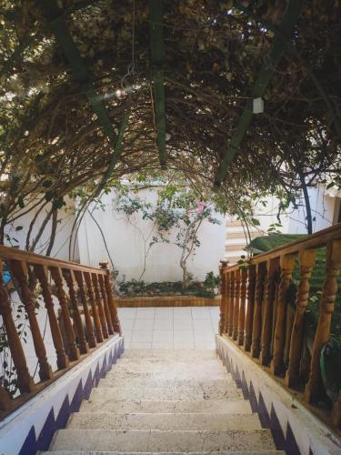 المنظر الخارجي, فندق نيبتون  (Neptune Hotel) in دهب