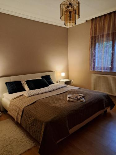 Villa Csilla elegant house in Szekesfehervar City Center