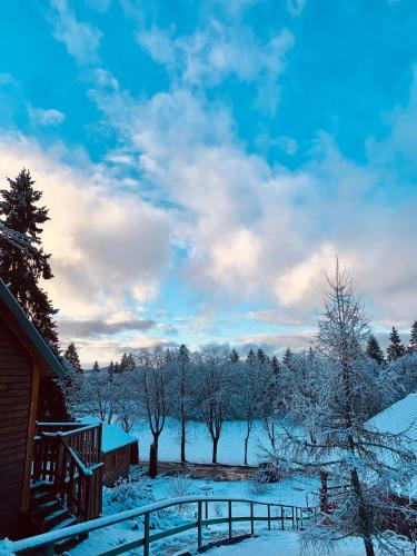 Chalet du Bois Joli