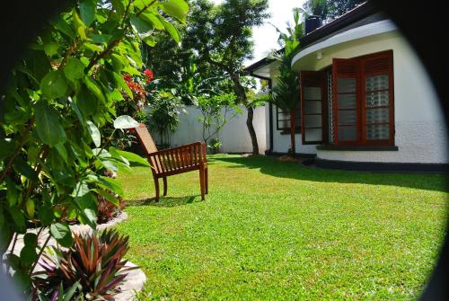 27 Spathodea- Oasis in the City, Kolombo (fotografie 5)