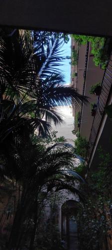 Alba Roma Holiday Home, Rome (photo 6)