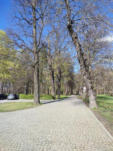 Apartament 4 You in Domaslaw