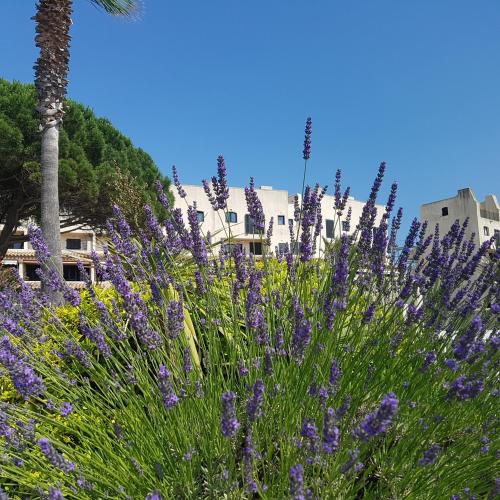 Magnifique 2 pièces vue port et mer Magnifique 2 pièces vue port et mer