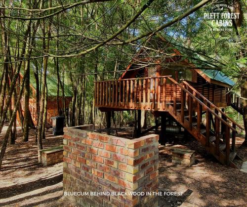 Plett Forest Cabins Room Type - Chalet