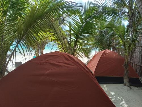 Chavez Eco Beach Camping and Cabañas Room Type - Tent 2