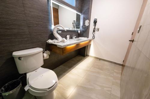 Bathroom, JTowers in WTC-San Angel