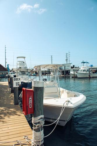 Captain Pips Marina & Hideaway in Marathon, USA
