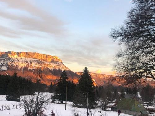 Studio aux pieds des pistes, des chemins de Rando