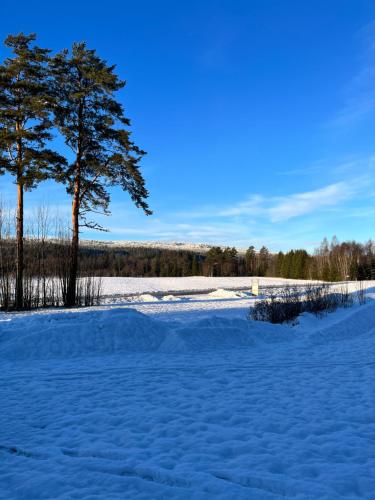 Surrounding environment, Gard Morbacka Bed & Breakfast in Björkenäs