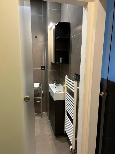 Studio apartment in center Brno, Brno (foto 7)