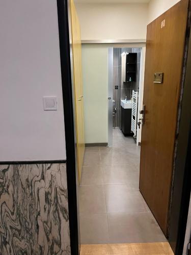 Studio apartment in center Brno, Brno (foto 5)