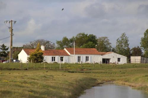 Maison de charme au cœur des marais pour 6 pers.