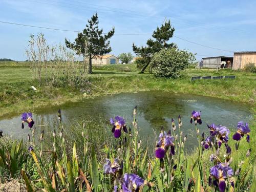 Maison de charme au cœur des marais pour 6 pers.