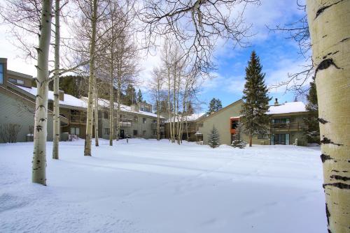 The Forest Neighborhood by Keystone Resort