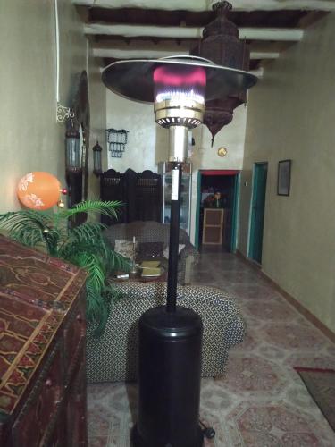 棕榈树宾馆 棕榈树宾馆