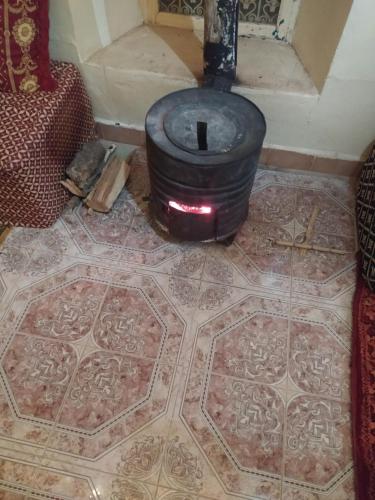 棕榈树宾馆 棕榈树宾馆