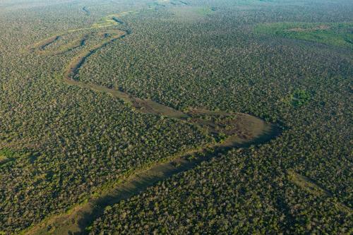 Glamping Los Palmares in Avia Terai