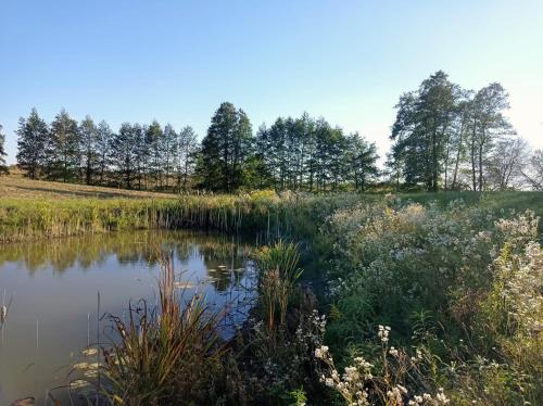 Dom pod Srebrnym Żurawiem Dom pod Srebrnym Żurawiem