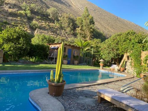 . Casa Amatista Travels