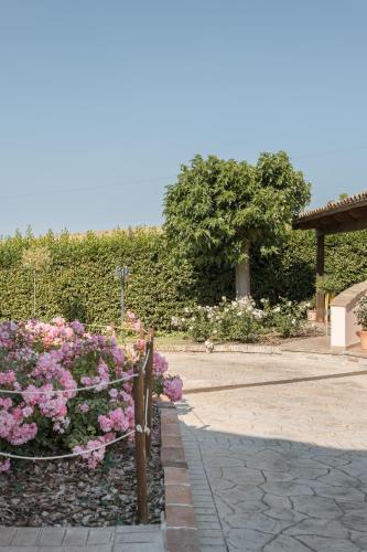 B&B Casa Fanny Riviera Del Conero