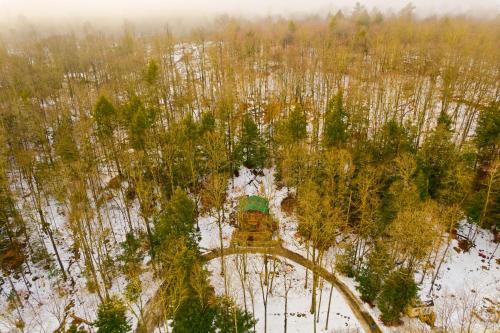 River Road Treehouse Retreat
